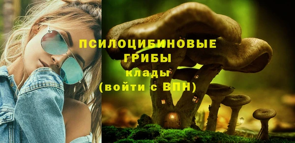 молекула духа Надым