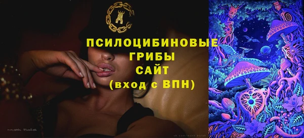 молекула духа Надым