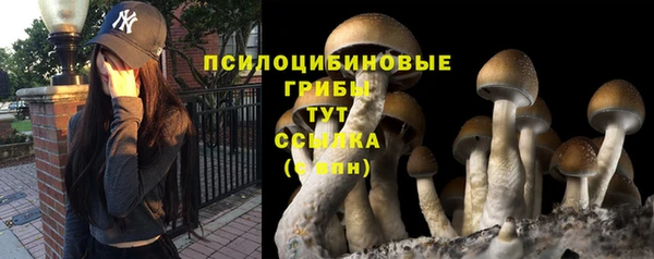 хмурый Михайловка