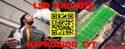 мдпв Гатчина