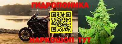 кокс Волжский