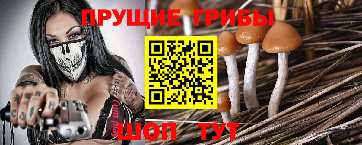 Псилоцибиновые грибы ЛСД  Вход с VPN  Избербаш 