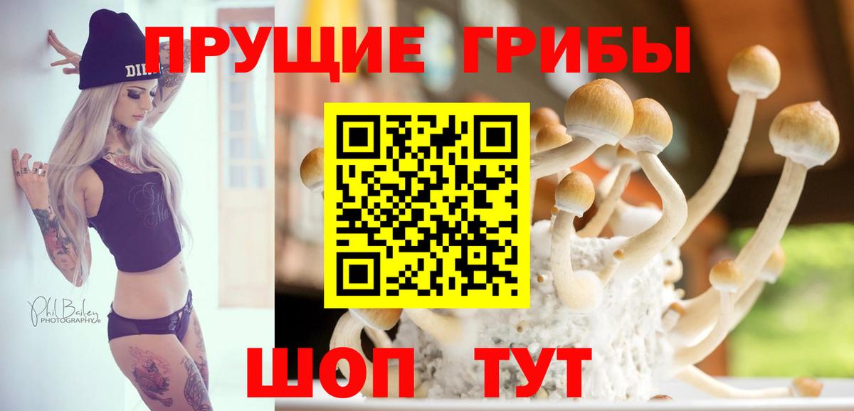 Псилоцибиновые грибы ЛСД Избербаш